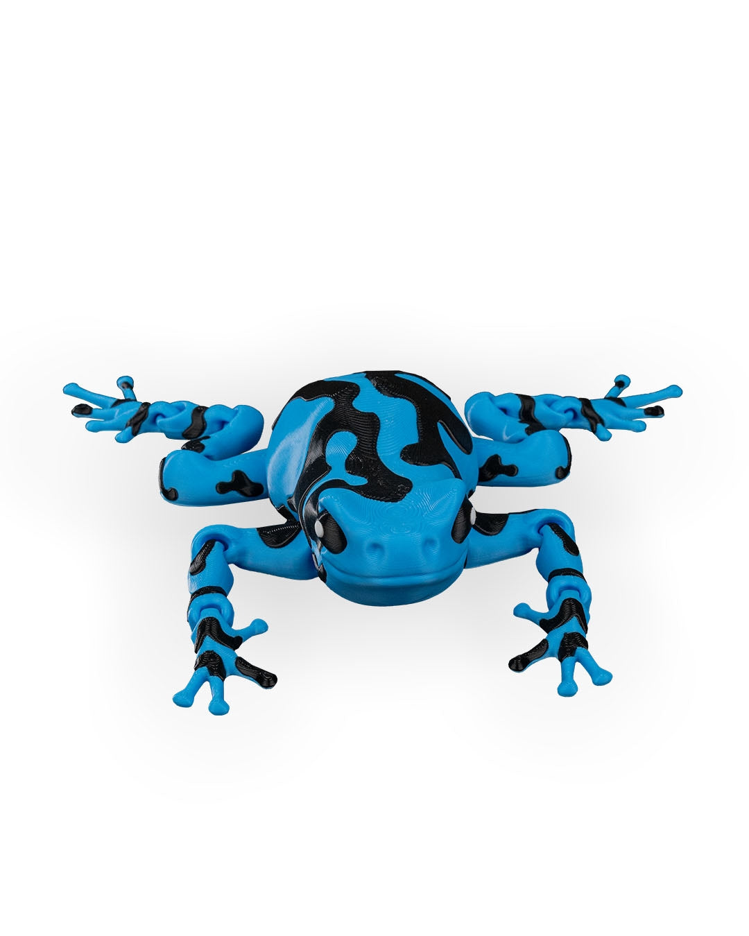 Darcy, the Poison Dart Frog