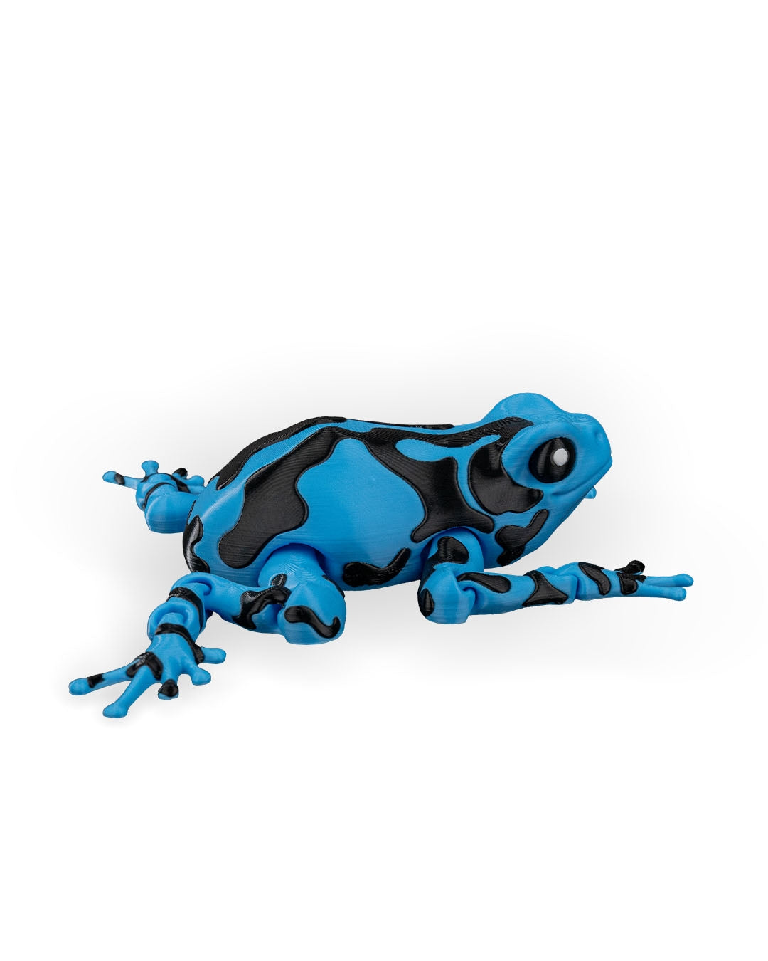 Darcy, the Poison Dart Frog