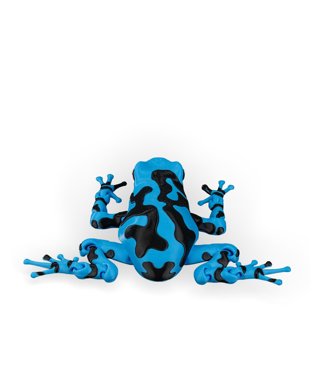 Darcy, the Poison Dart Frog