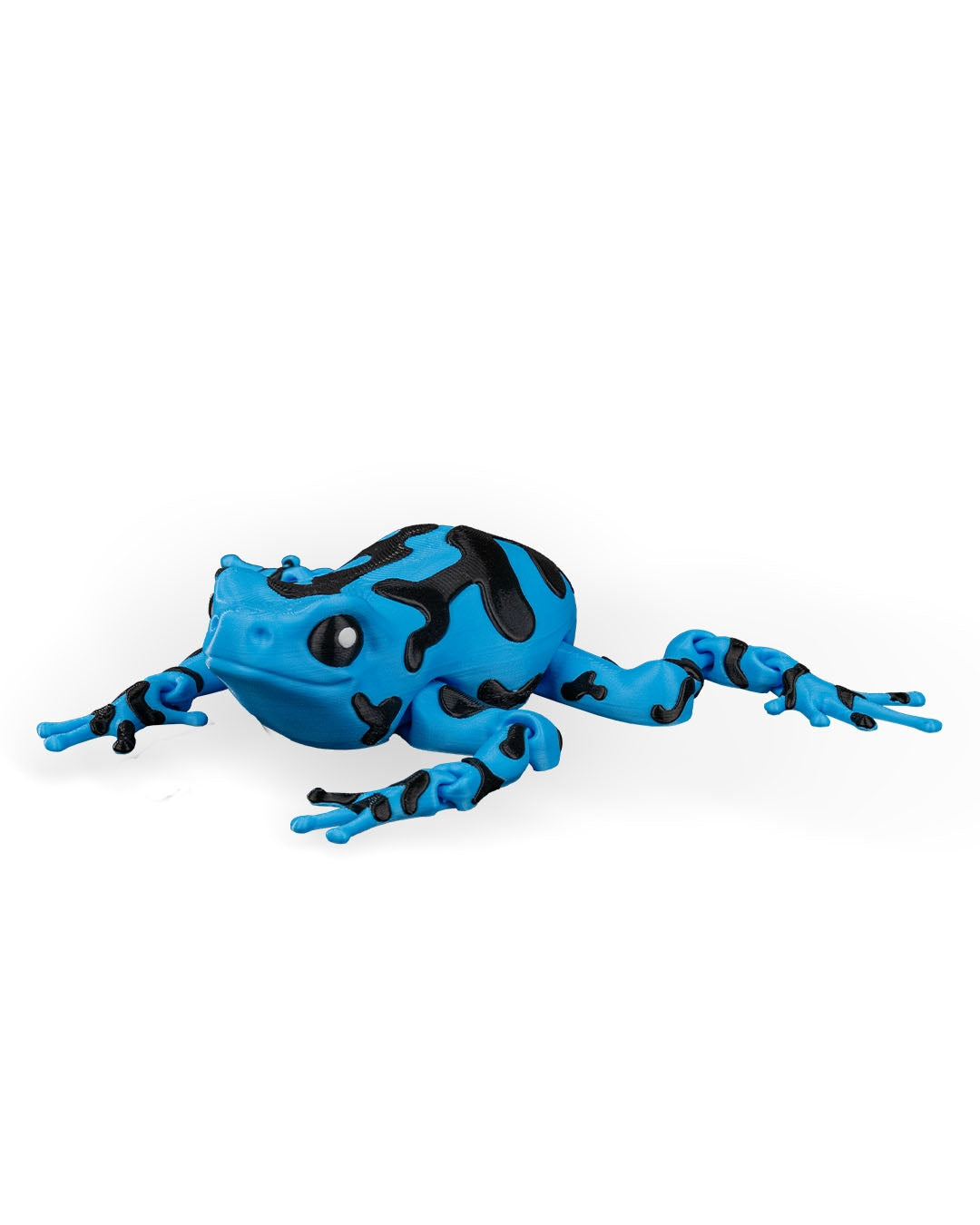 Darcy, the Poison Dart Frog
