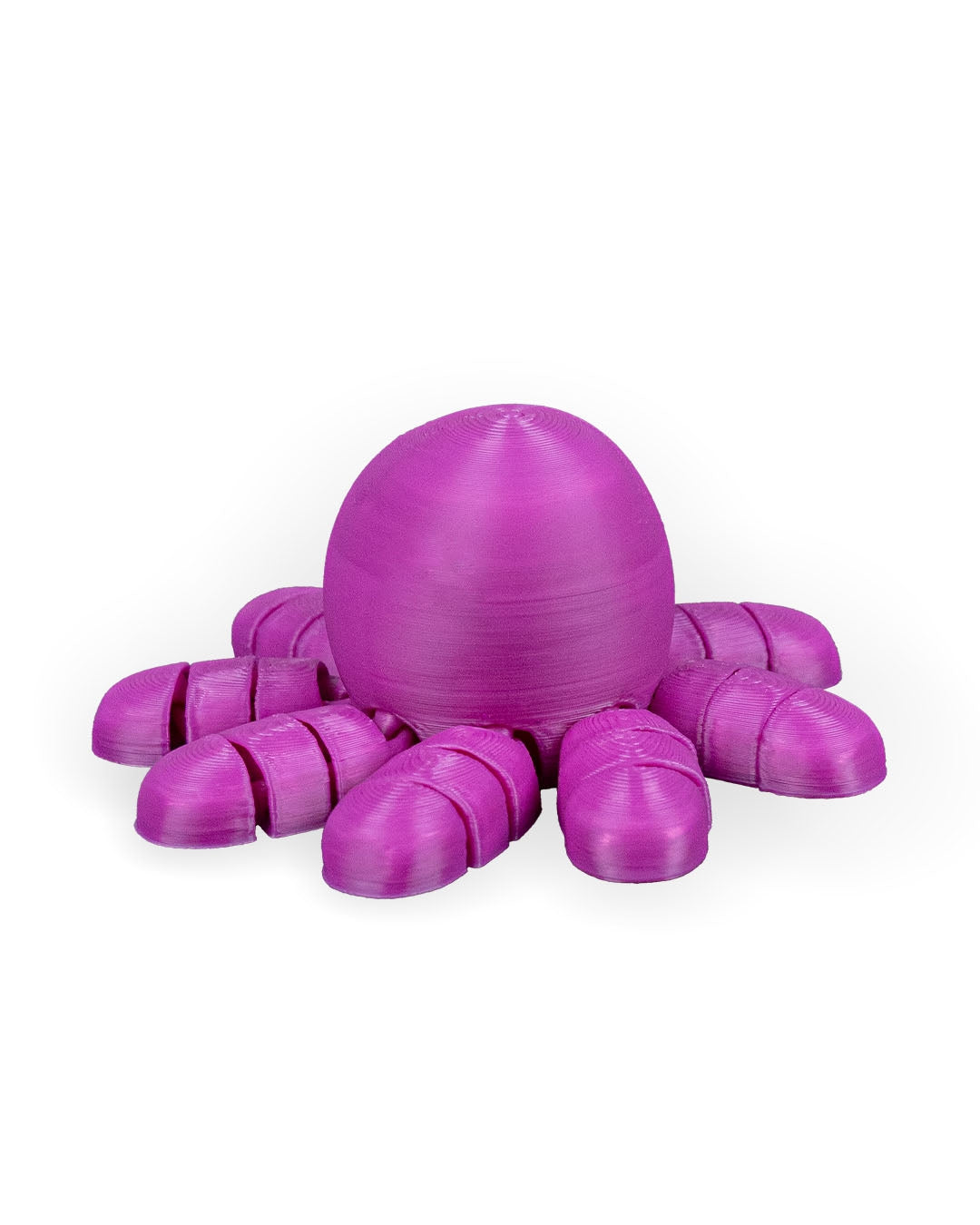 Octopus in Ocean Rest