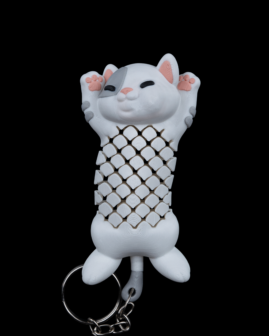 Pat the Cat