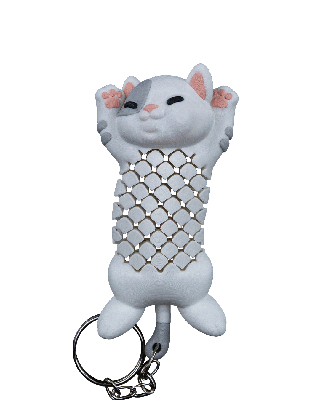 Pat the Cat