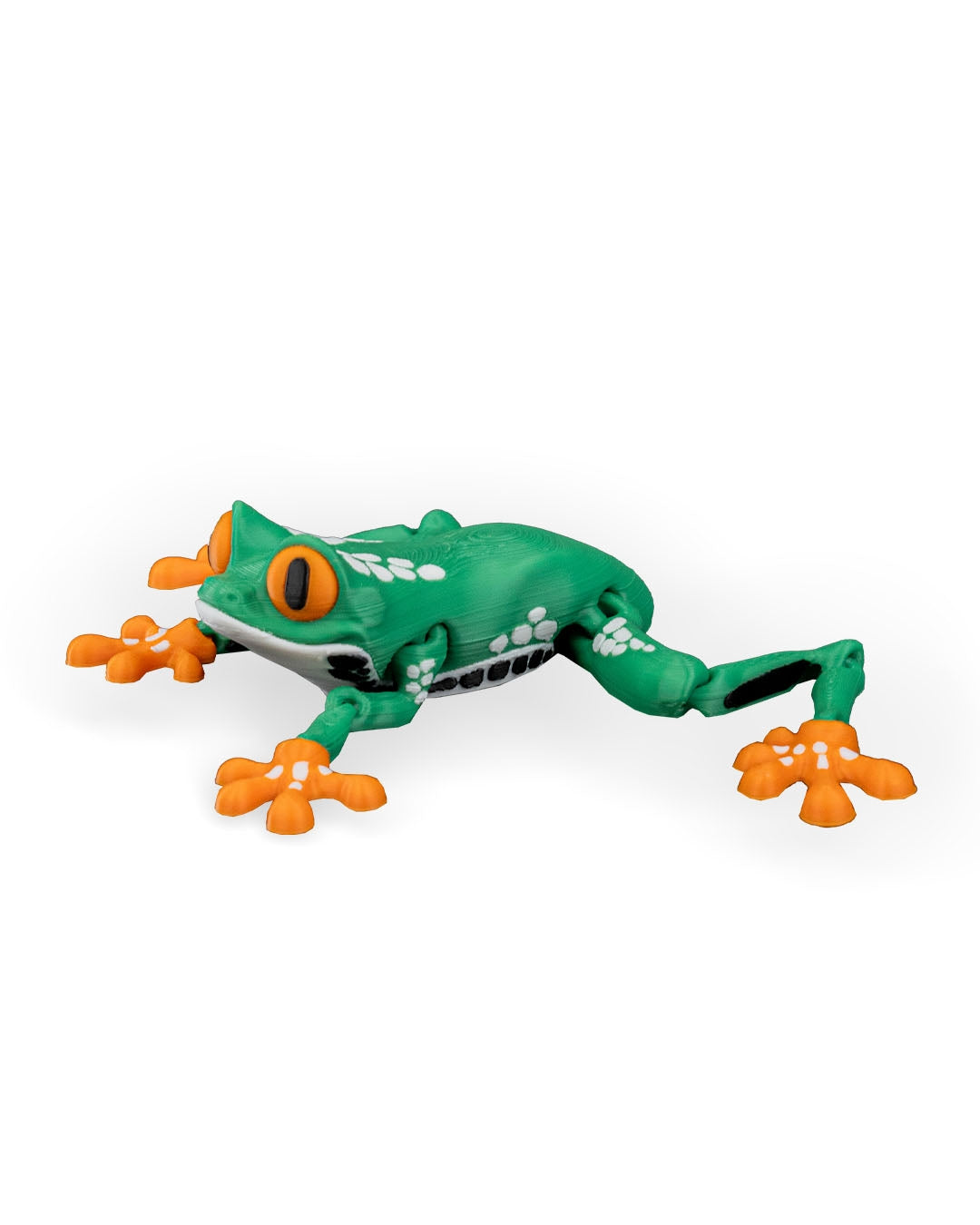 Reed, the Red Eyed Tree Frog
