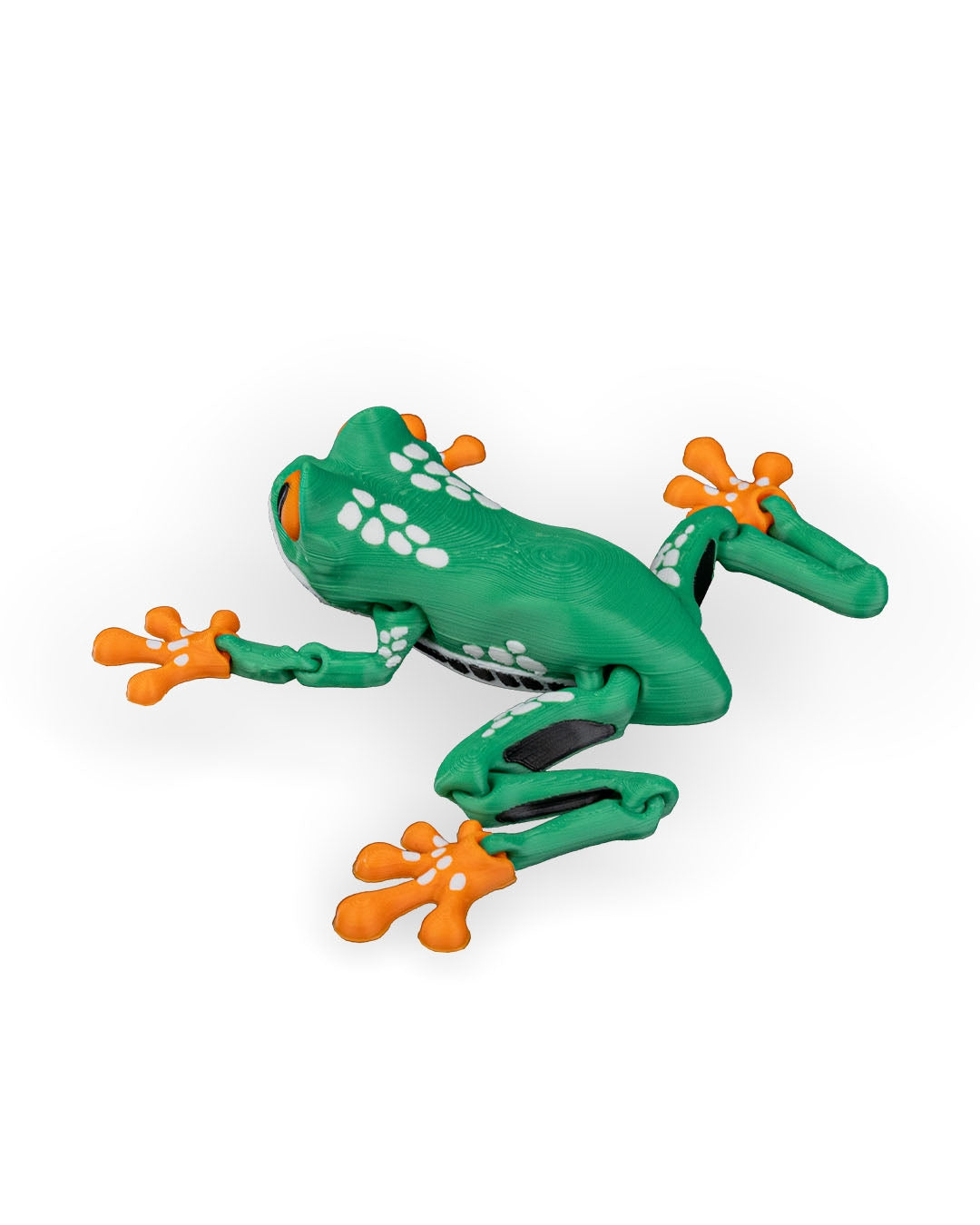 Reed, the Red Eyed Tree Frog