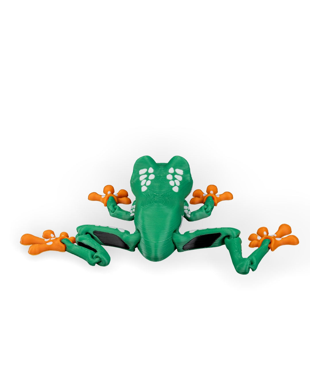 Reed, the Red Eyed Tree Frog