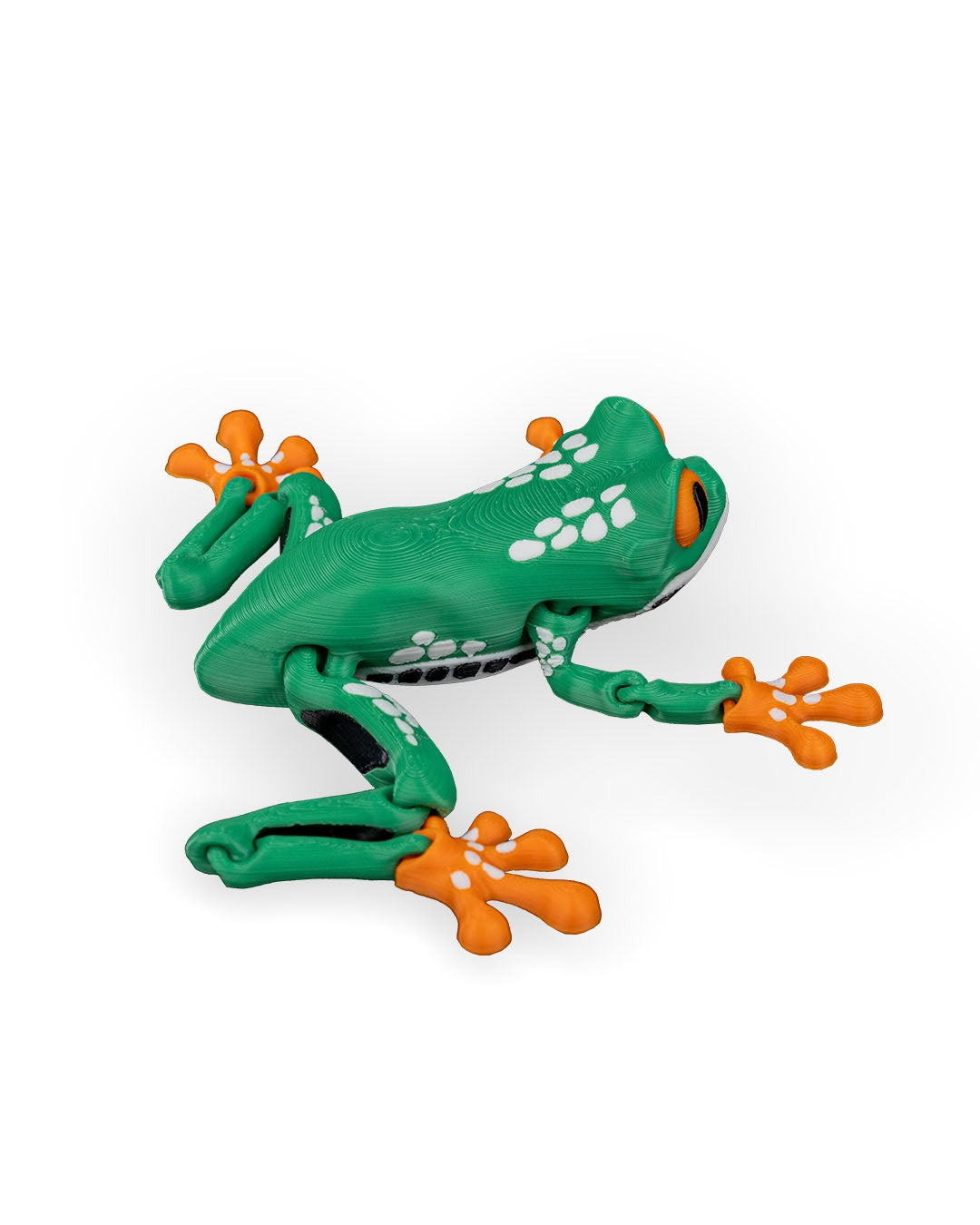 Reed, the Red Eyed Tree Frog