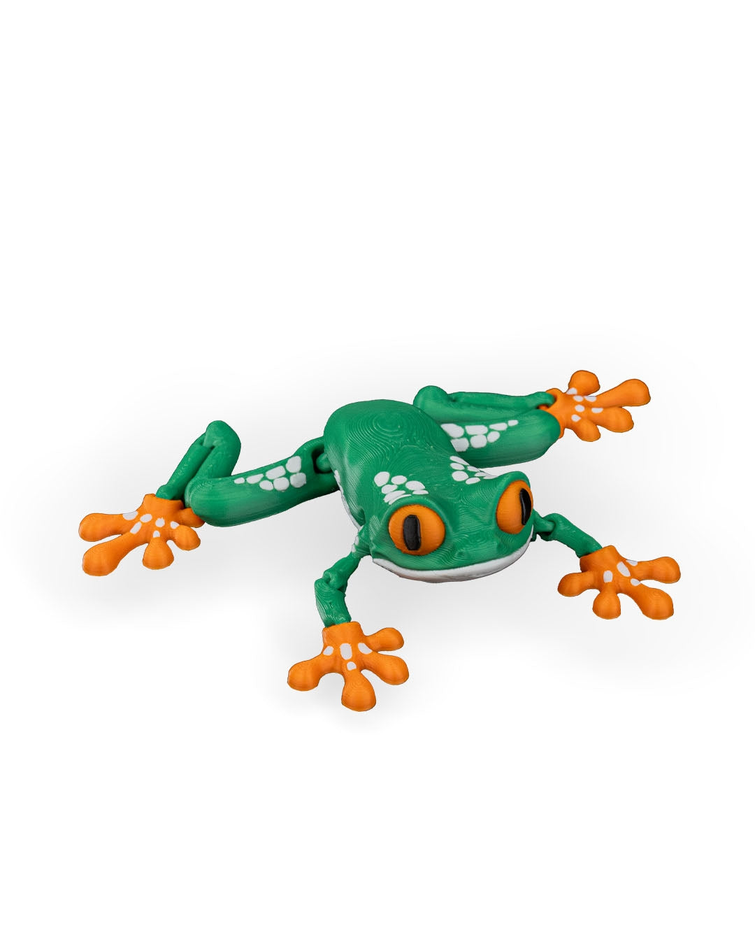 Reed, the Red Eyed Tree Frog