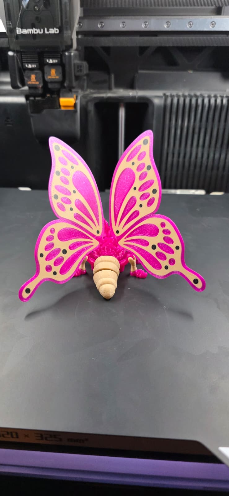 Betty Butterfly