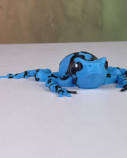 Darcy, the Poison Dart Frog