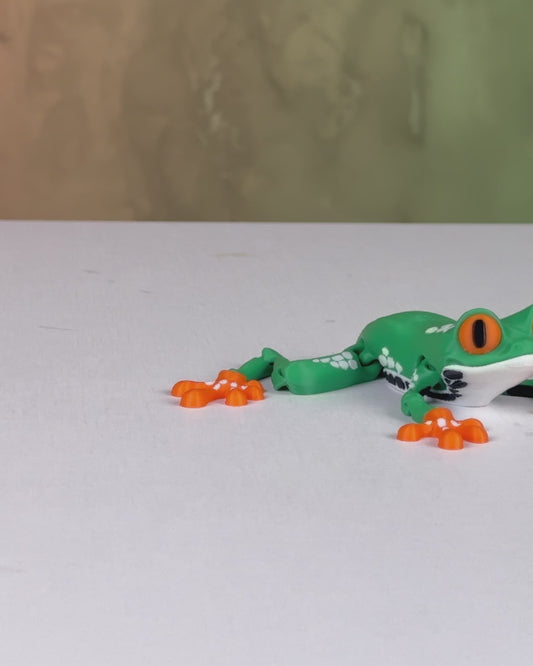 Reed, the Red Eyed Tree Frog